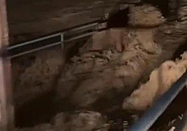 Rambla Urbana de Pilar de la Horadada, esta madrugada.