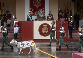 Desfile militar del pasado año.