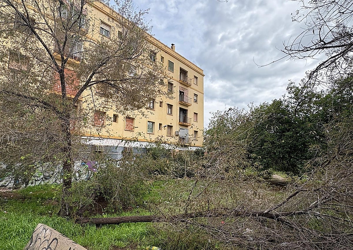 Imagen secundaria 1 - Árboles caídos en la Petxina, Cruz Cubierta y San Marcelino.
