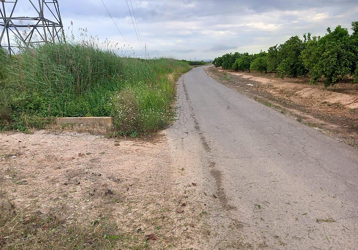 Zona rural de Alzira afectada por la dana.