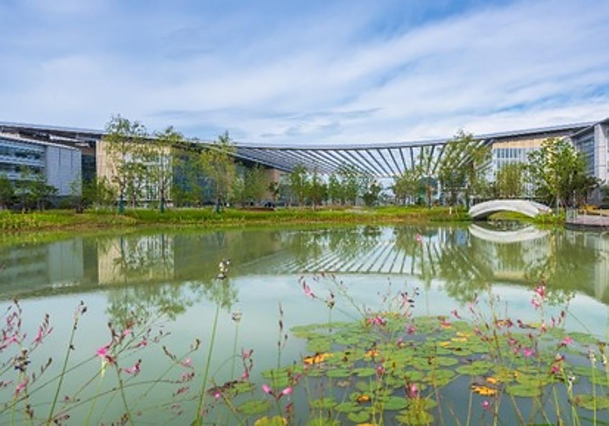 Fotos: así será el campus de la UPV en China