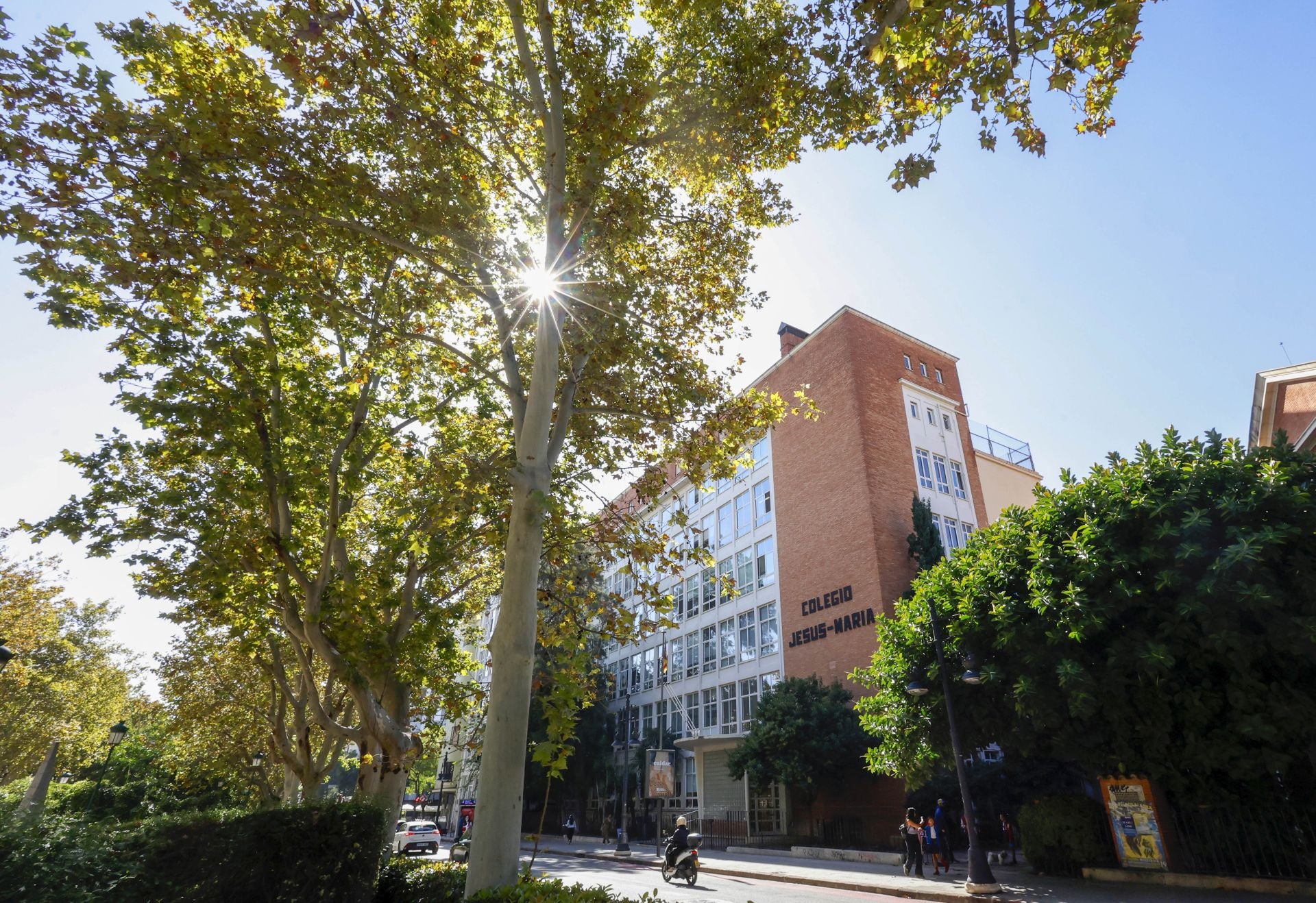 Fotos de Abastos, un barrio encandilado con la alegría de Marta Mercader