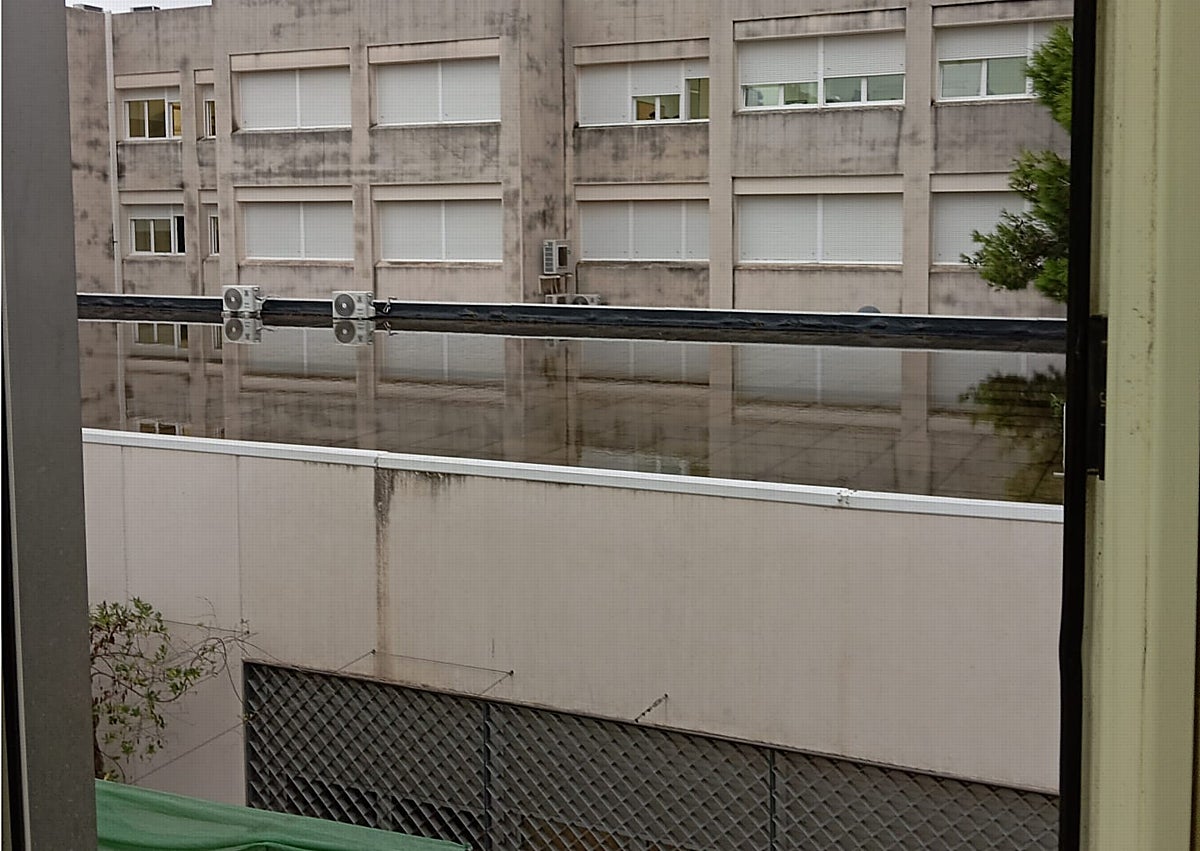 Imagen secundaria 1 - Varias imágenes de los efectos de Alice en los colegios de El Saler.