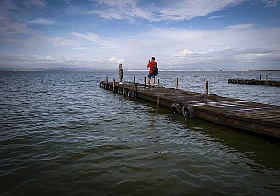 Una pareja se hace fotos en la Albufera.
