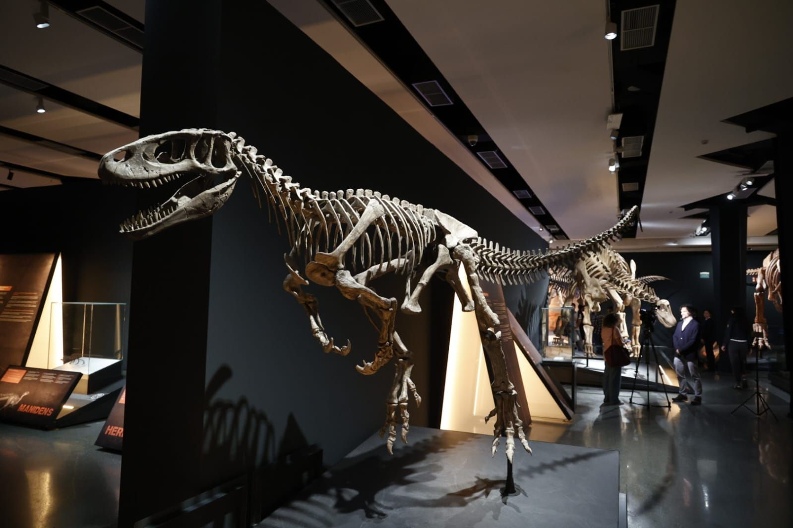Fotos de la exposición &#039;Dinosaurios de la Patagonia&#039; en CaixaForum