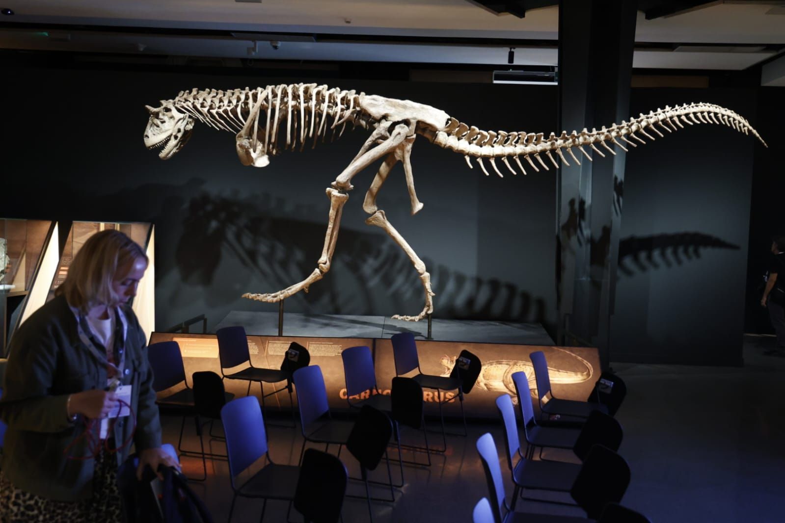 Fotos de la exposición &#039;Dinosaurios de la Patagonia&#039; en CaixaForum