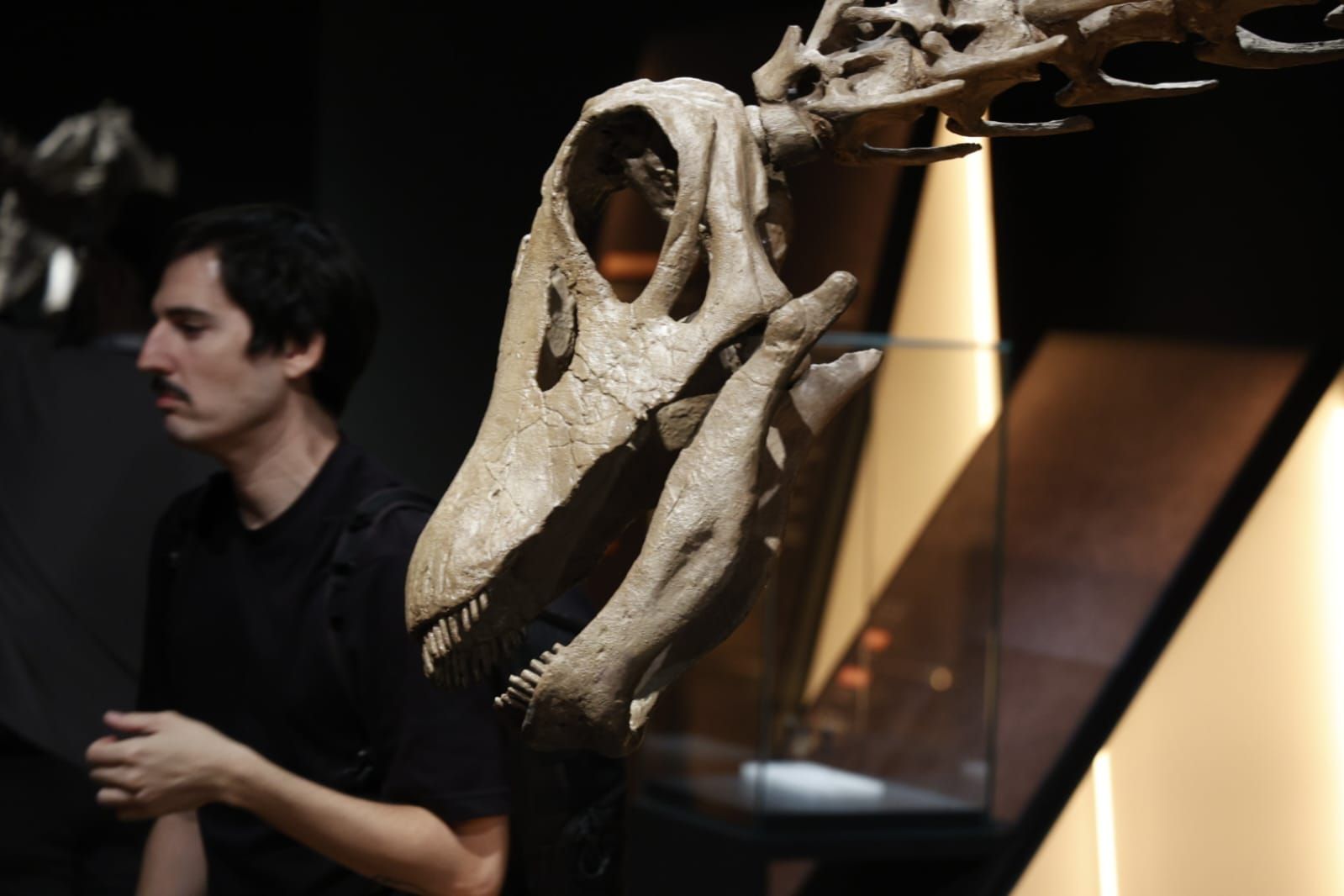 Fotos de la exposición &#039;Dinosaurios de la Patagonia&#039; en CaixaForum