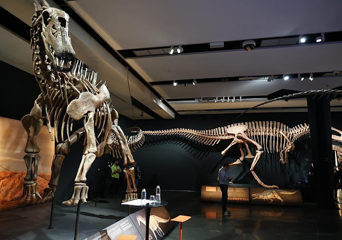 Fotos de la exposición &#039;Dinosaurios de la Patagonia&#039; en CaixaForum