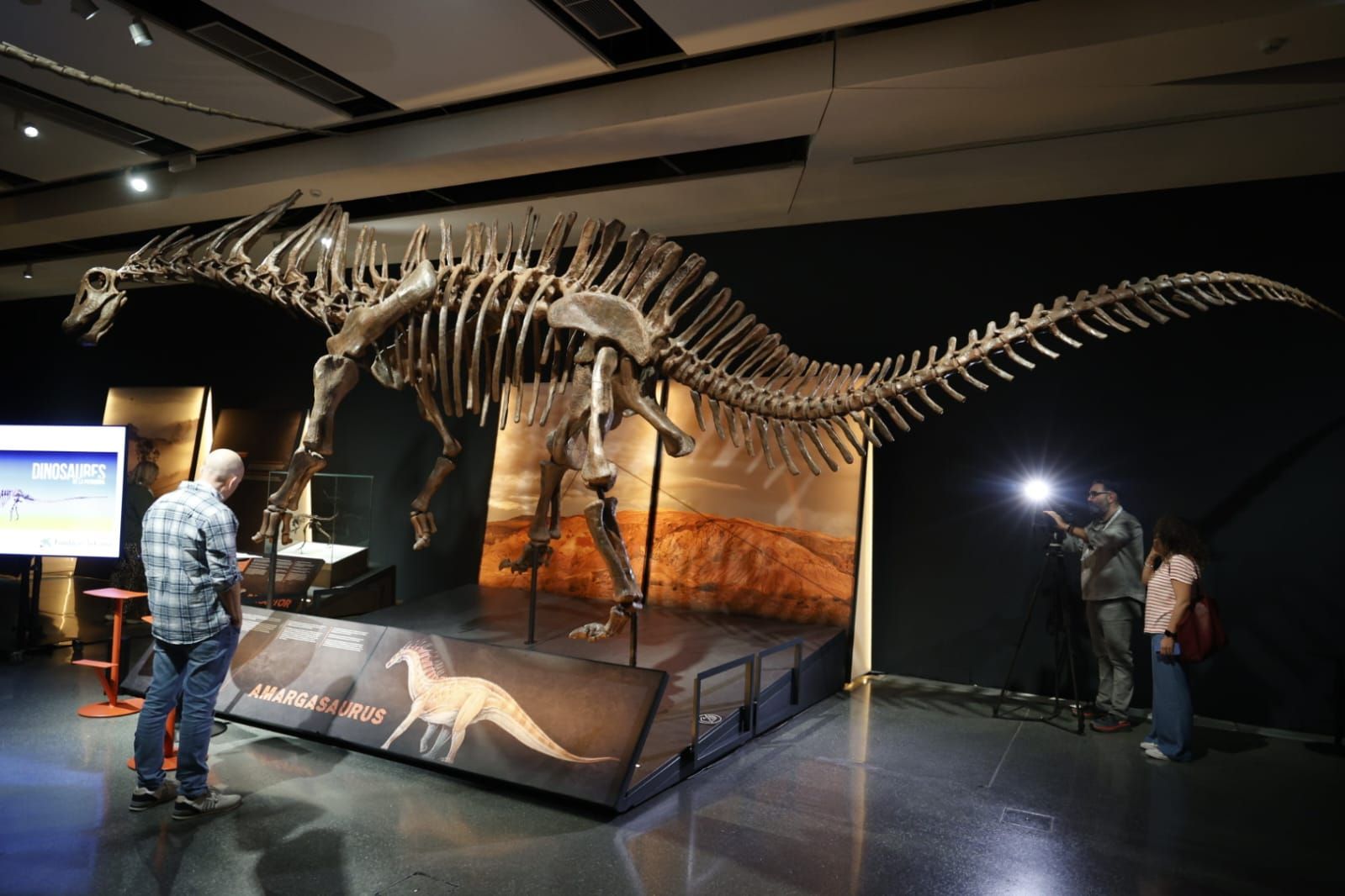 Fotos de la exposición &#039;Dinosaurios de la Patagonia&#039; en CaixaForum