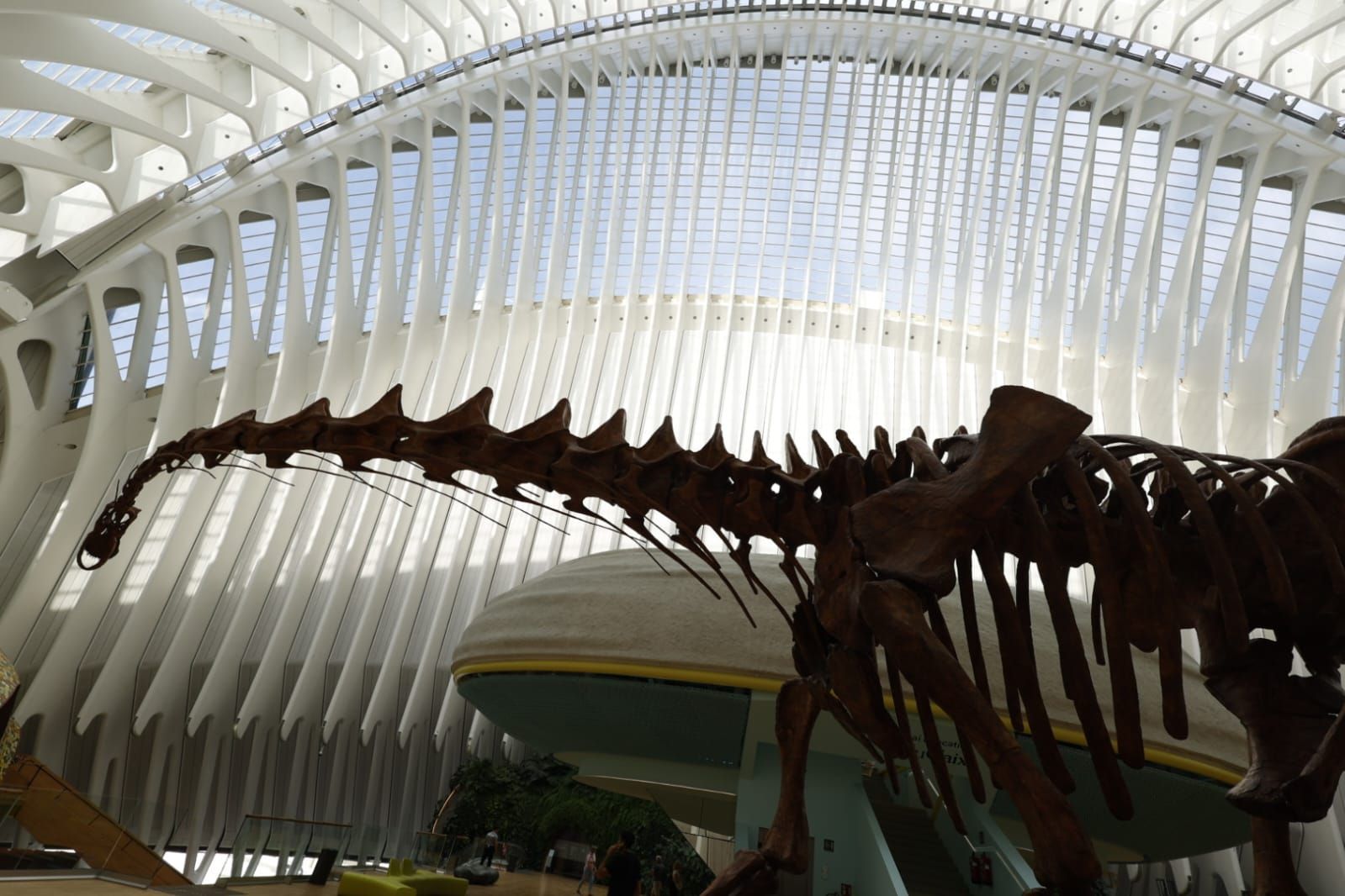 Fotos de la exposición &#039;Dinosaurios de la Patagonia&#039; en CaixaForum
