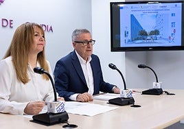 Alonso y Gregori anuncian el proyecto.