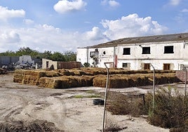 Paja del arroz amontonada en La Baldovina.