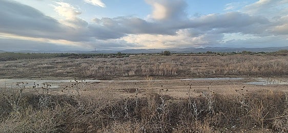 Terrenos en los que está prevista la instalación de la planta.
