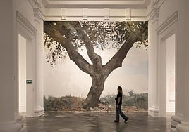 El mural de un árbol, al final de la sala Ferreres-Goerlich, donde se exhibe la exposición PAM! PAM 2025
