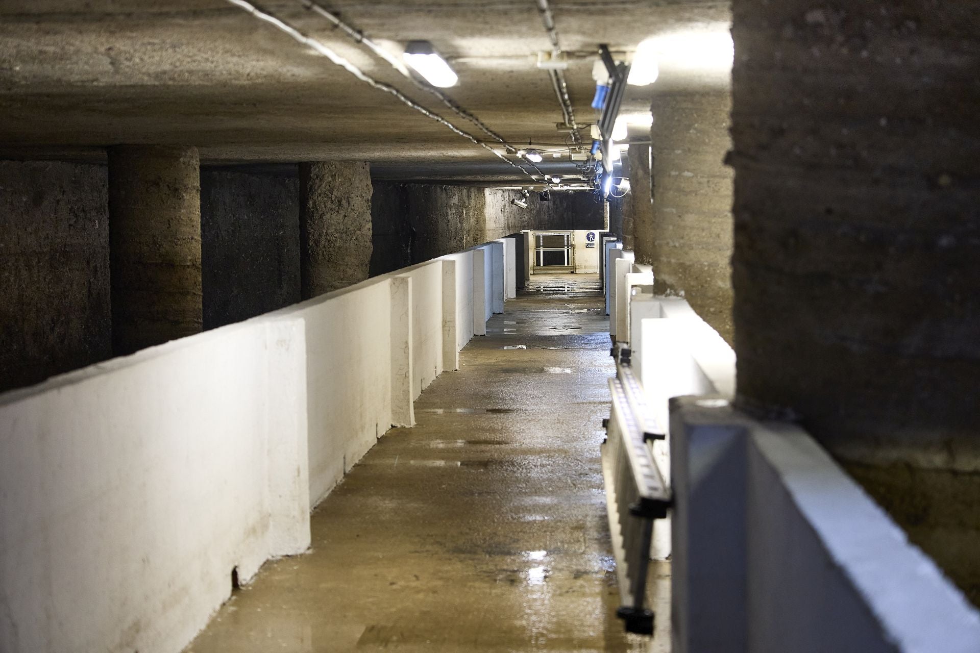 FOTOS | Dentro del tanque de tormentas de Eugenia Vinyes en Valencia