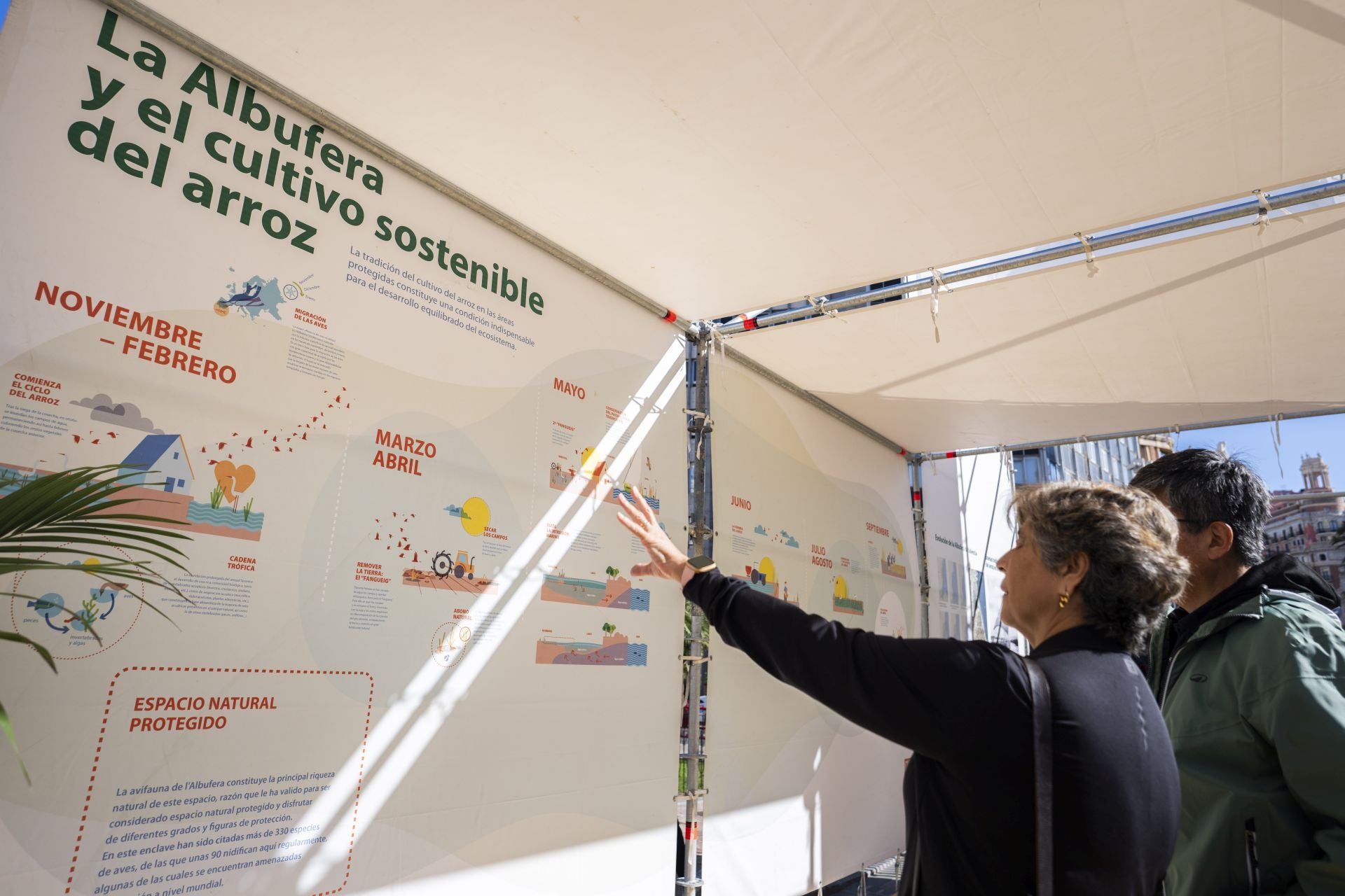 FOTOS | El certamen Tastarròs triunfa en Valencia