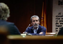 El exjefe de la Policía de Aguas de la CHJ, Ricardo Domínguez, durante su comparecencia en el Senado.