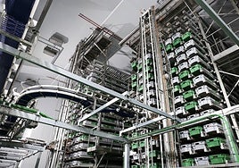 Interior de una de las nuevas plantas de la Familia Martínez.