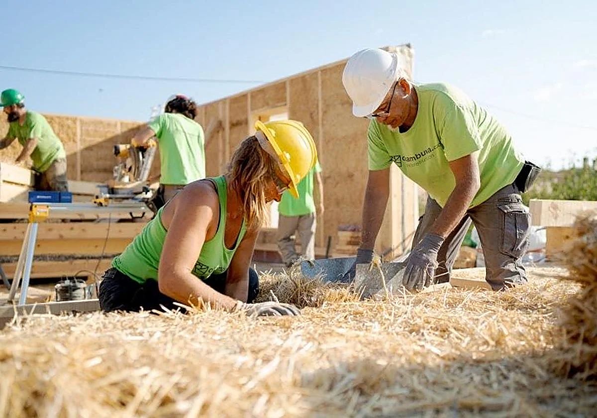 Miembros de una cooperativa dedicada a vivienda sostenible.