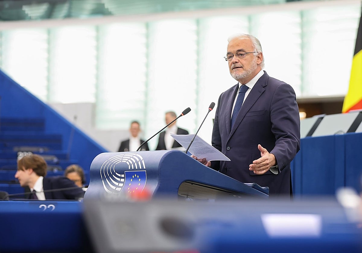 González Pons, durante su intervención en el Parlamento Europeo este miércoles.