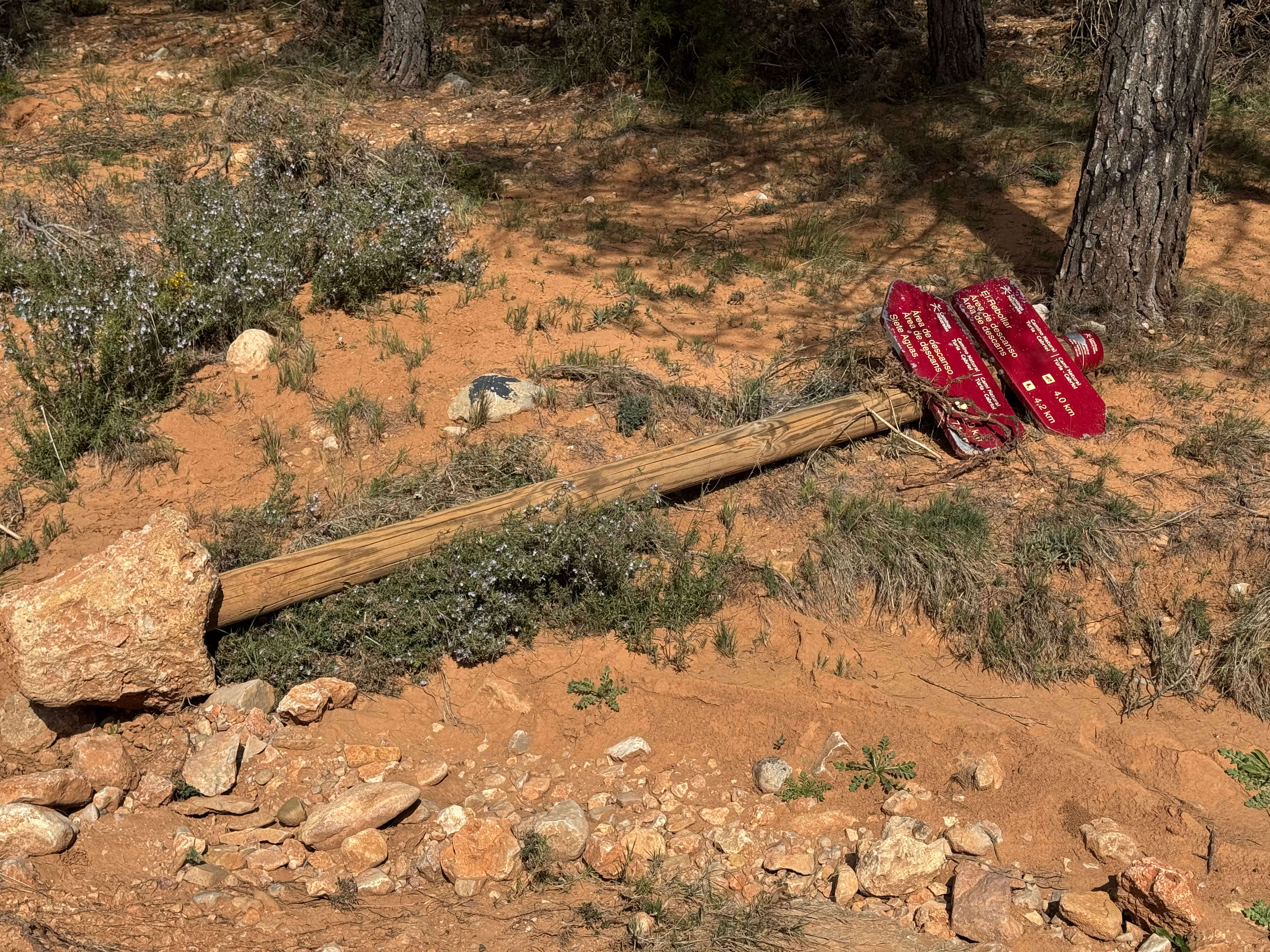Daños en los itinerarios del camino natural.