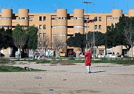 Viviendas en el barrio Los Palmerales.