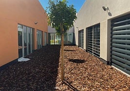 El CEE Alberto Tortajada de Algemesí.