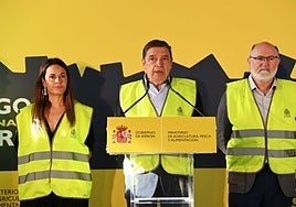 Imagen del ministro durante su comparecencia de hoy en Torrent