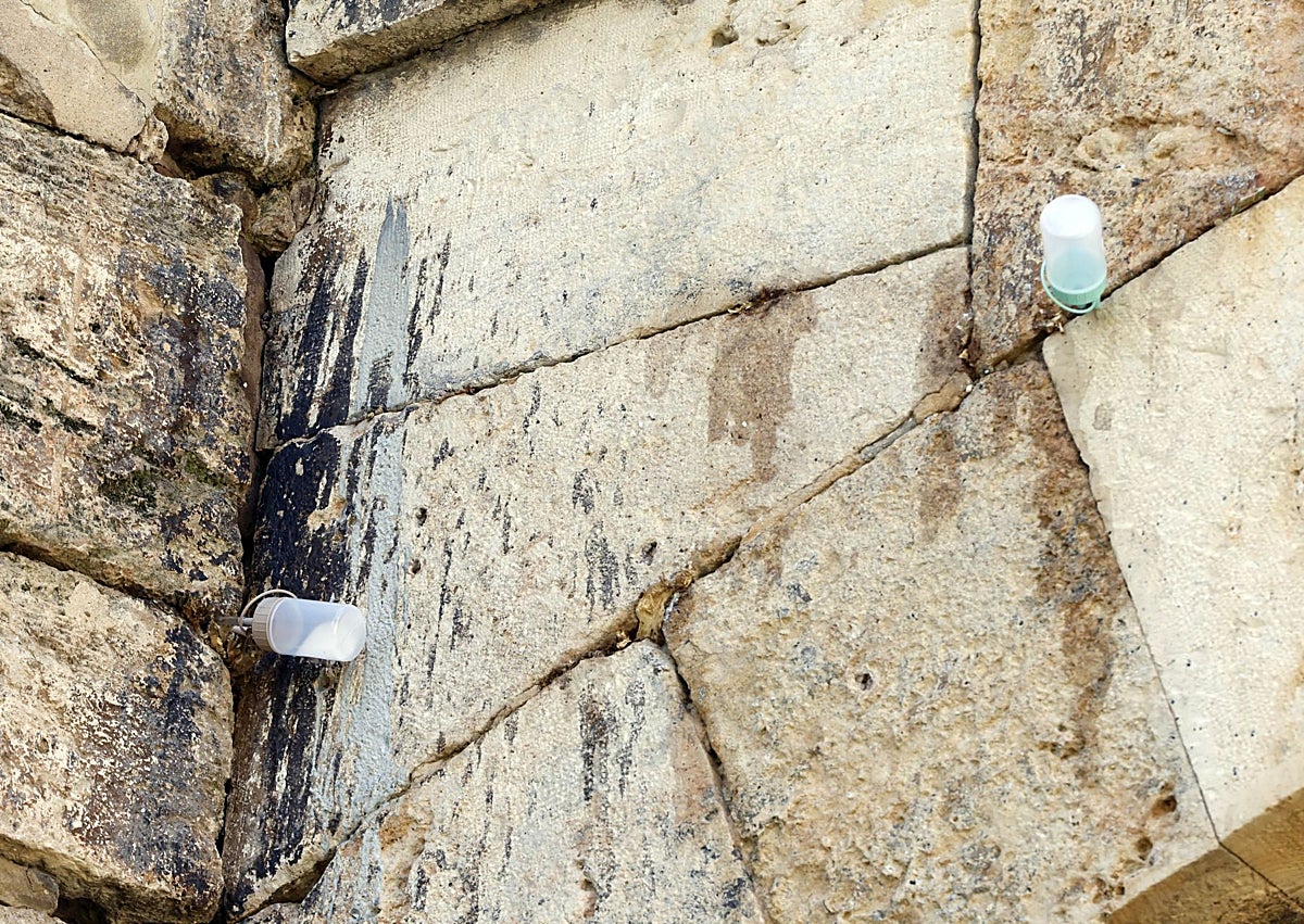 Imagen secundaria 1 - Vegetación enraizada en el puente de San José y dosificadores de biocidas.