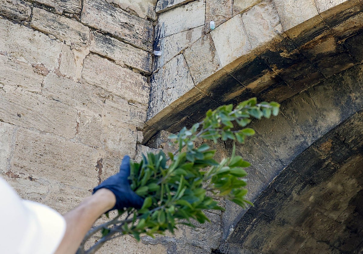 Imagen principal - Dosificadores de biocida, en el puente de San José, planta eliminada y tareas de limpieza de Salmer.