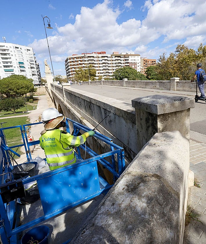 Imagen secundaria 2 - Dosificadores de biocida, en el puente de San José, planta eliminada y tareas de limpieza de Salmer.