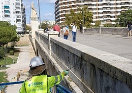 Aplicación de bioceidas para eliminar las hierbas y líquenes en el puente histórico de San José.