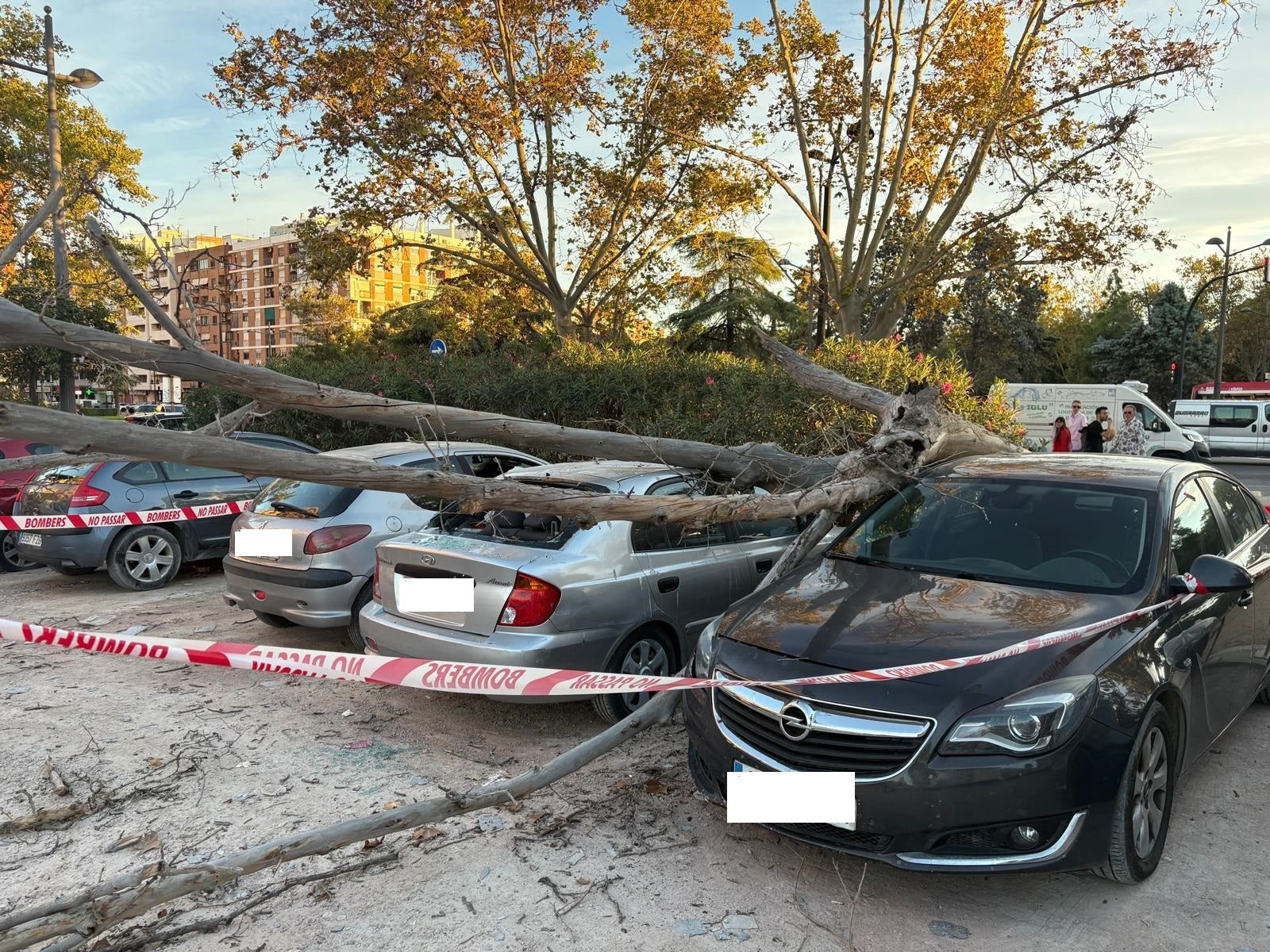 Un árbol sobre varios vehículos en Valencia.