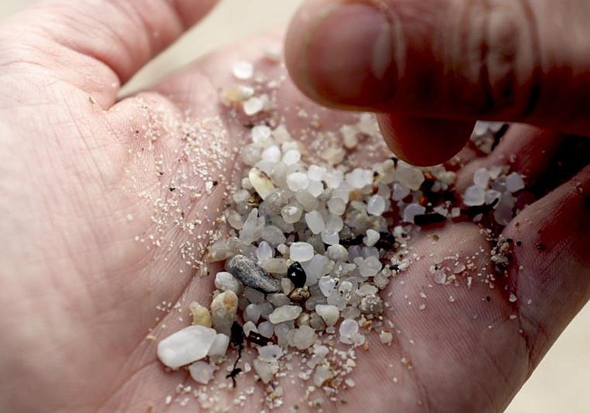 Pellets mezclados con arena gruesa en Galicia, en 2024.