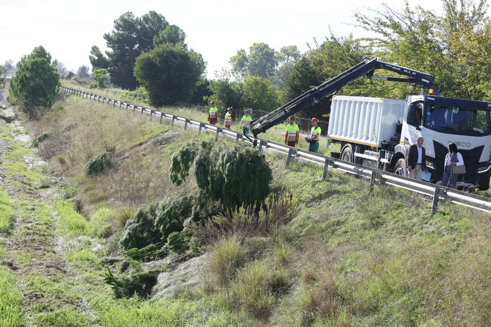 Limpieza del barranco del Palmaret