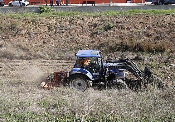 Limpieza del barranco del Palmaret
