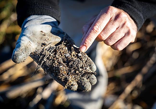Micorplásticos mezclados en la tierra del lago.