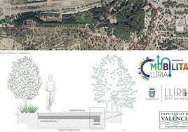 Detalle del proyecto presentado.