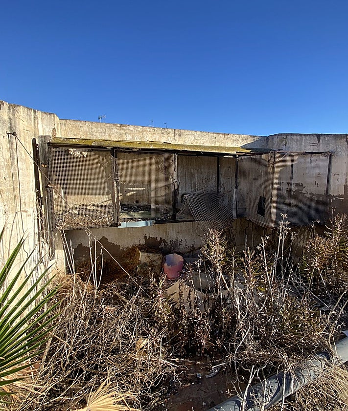 Imagen secundaria 2 - Comedor, paellero exterior y gallinero, de la calle de Los Ángeles 22.