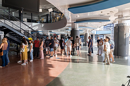 Cines MN4 ofrece cine gratuito el 29 de octubre para los afectados por la DANA