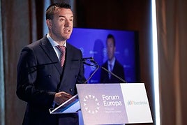 Mompó, durante una intervención este lunes.