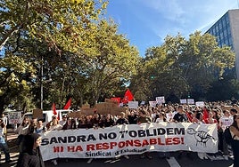Cabecera de la manifestación de Valencia, en la avenida Blasco Ibáñez.
