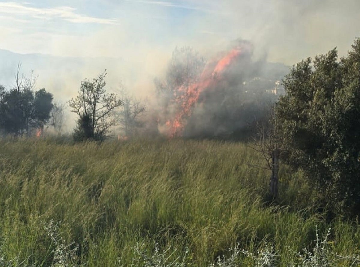 El fuego que se ha declarado en la zona dels Tossals.