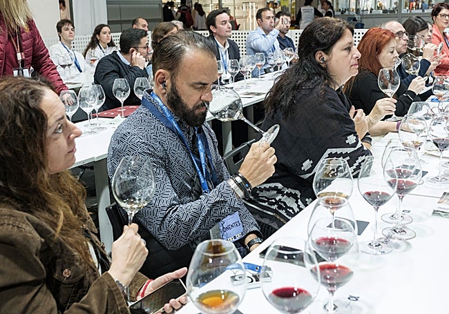 Túnel del vino y catas profesionales.