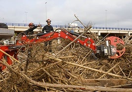 Tareas de limpieza en el barranco del Poyo.