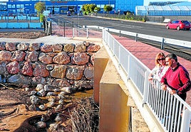 Yolanda Muñoz y Germán Gómez observan el cauce del barranco de Sechara, a pocos metros del parking del Circuit más cercano a la entrada principal del recinto.