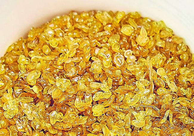 Cola orgánica que una vez preparada se utiliza para adiestrar a las bacterias.