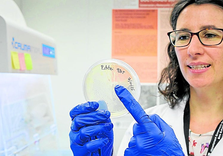 La bióloga Pilar Bosch muestra las bacterias.
