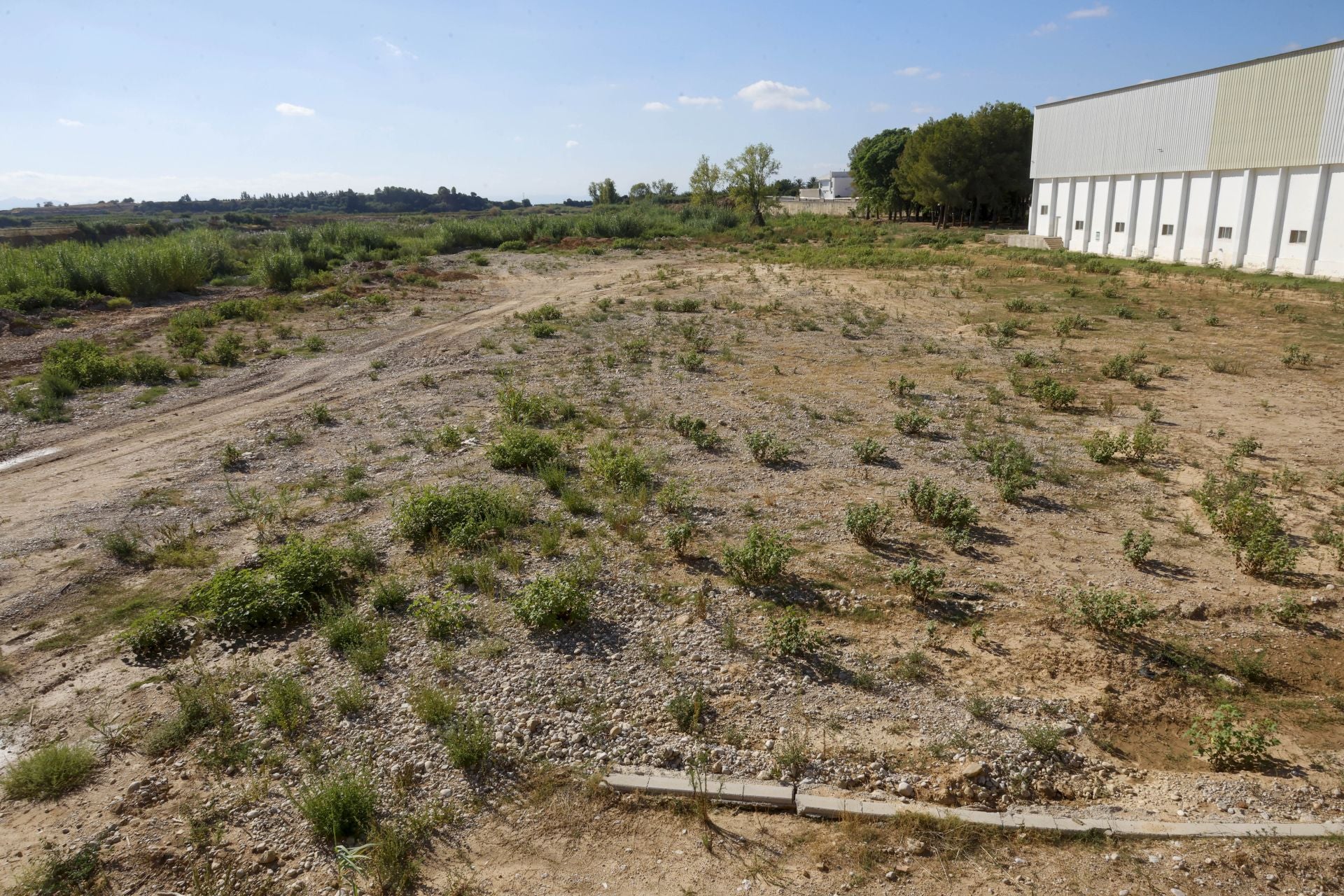 Río Magro a su paso por Alfarb.