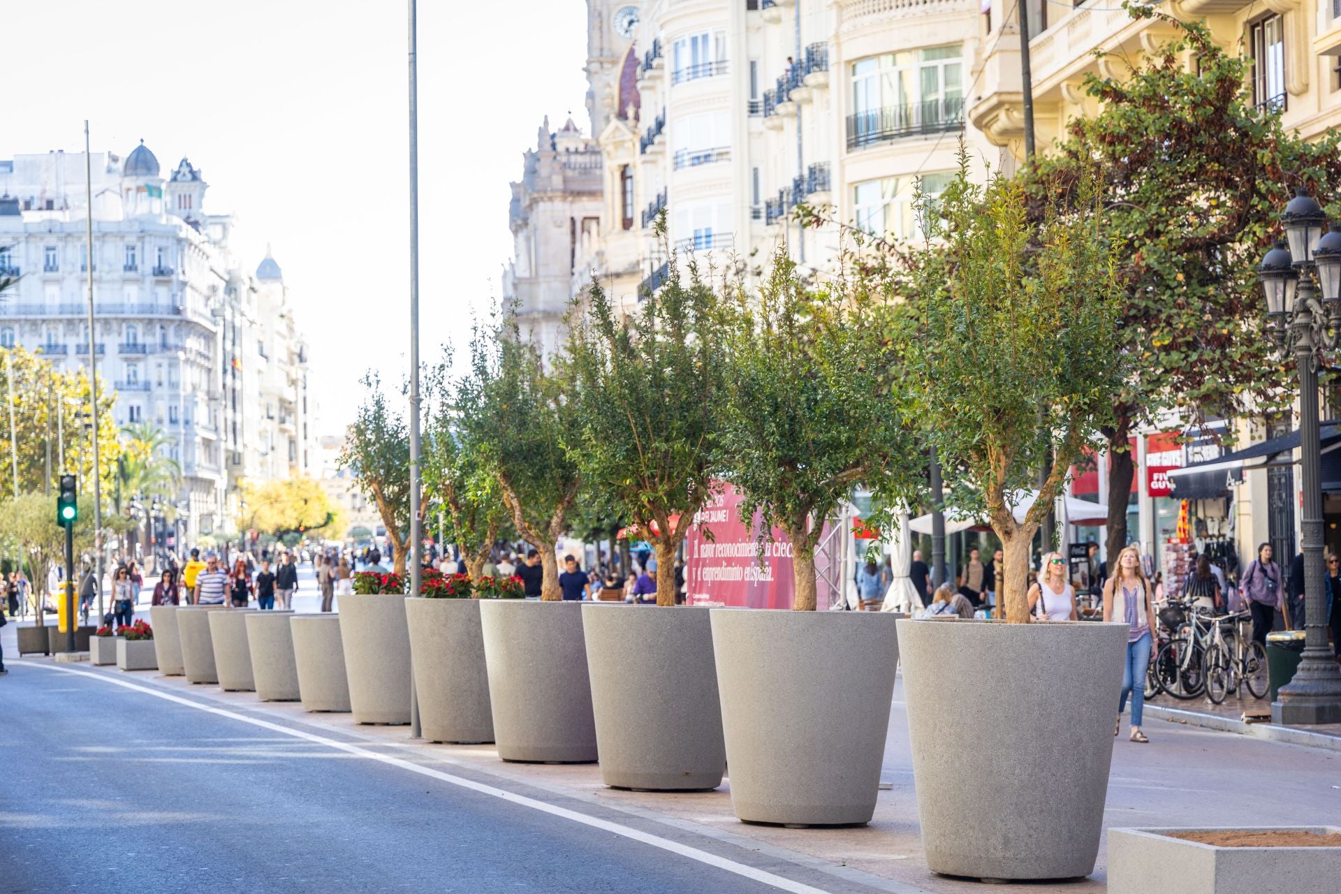 Fotos de los nuevos maceteros en la plaza del Ayuntamiento de Valencia